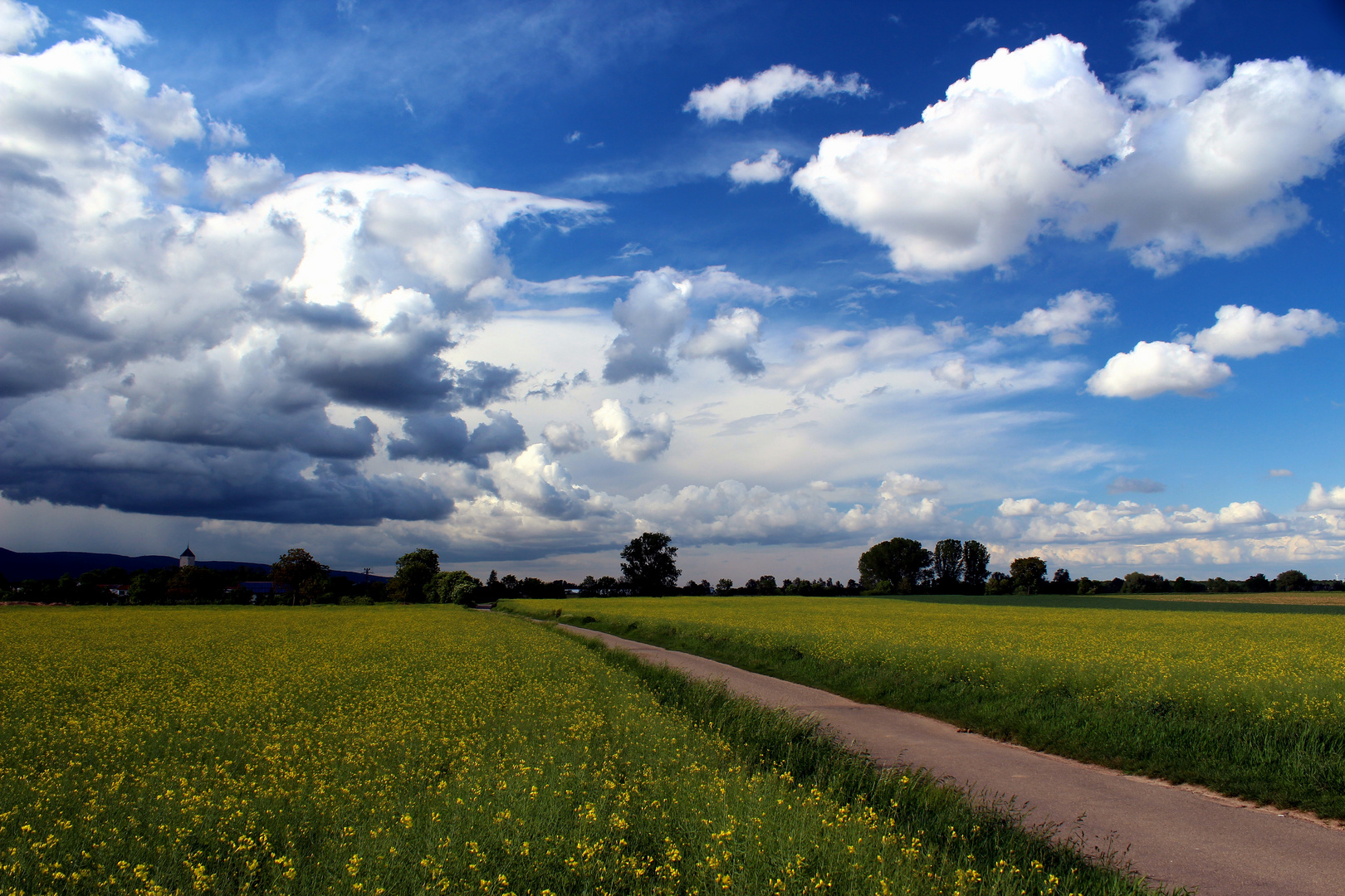 Rapsody in der Pfalz