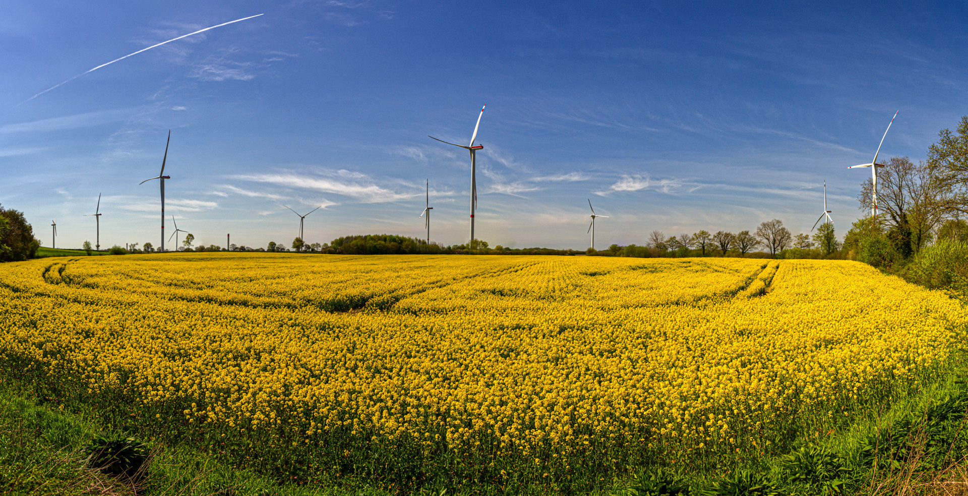 Rapspanorama Windpark Kesdorf