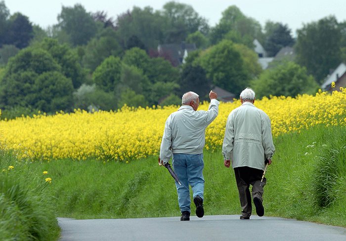 Rapsspaziergang in Ratingen