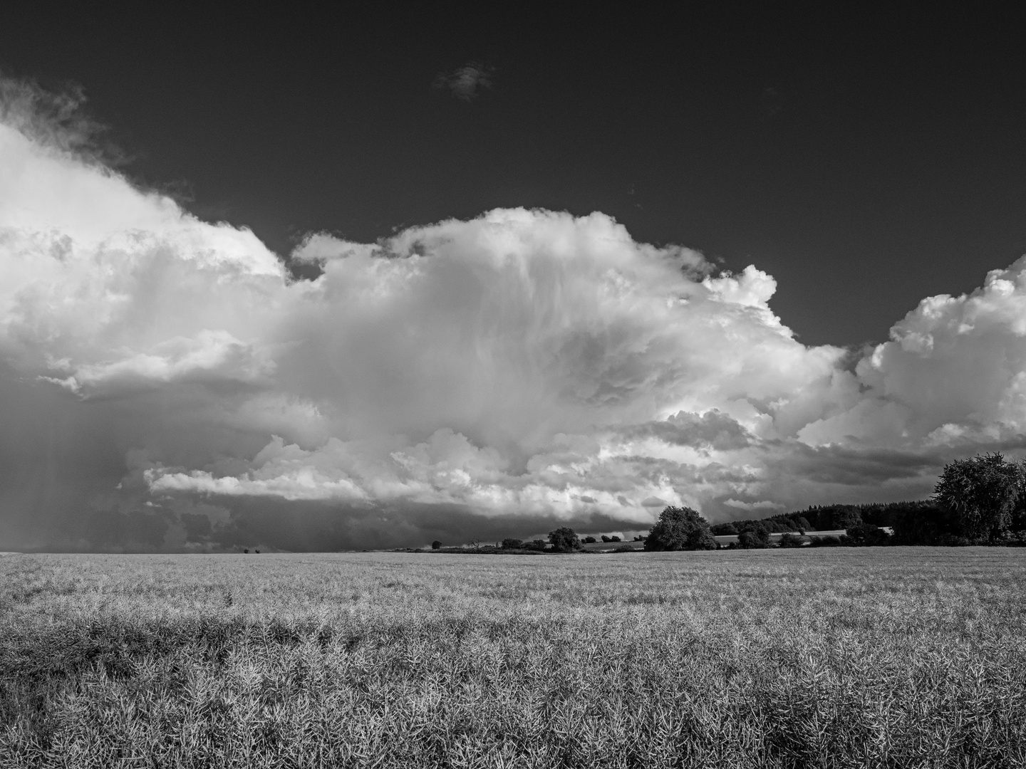 Raps_und_Wolken_P626010720160626