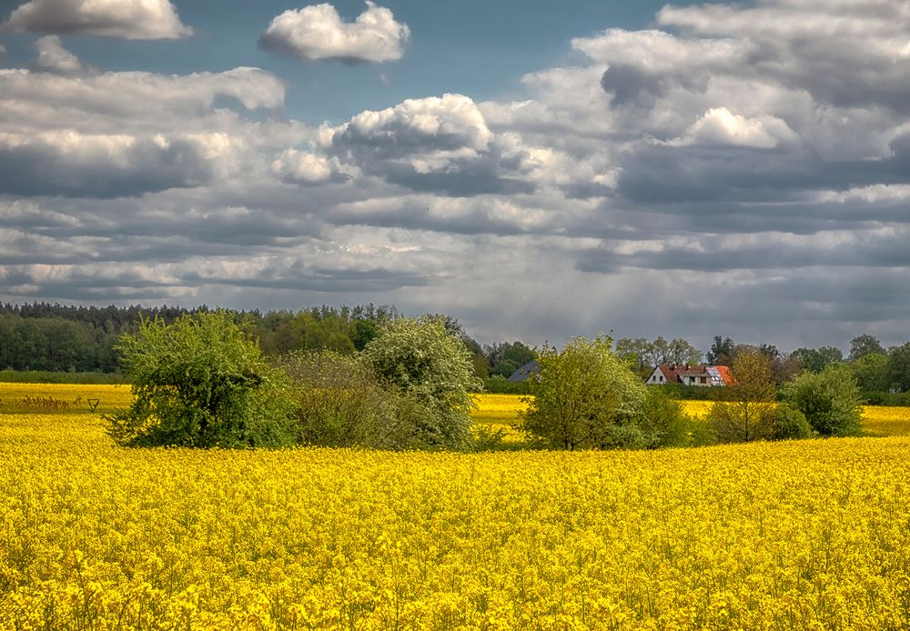 Rapszeit