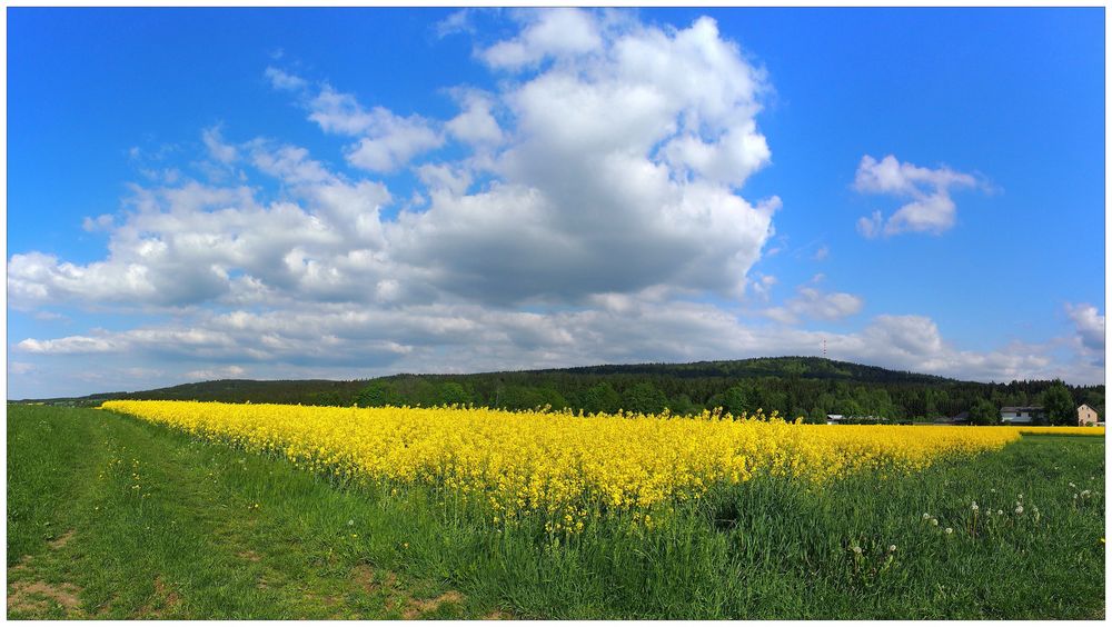 Rapszeit im Fichtelgebirge