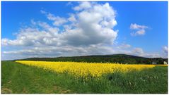 Rapszeit im Fichtelgebirge