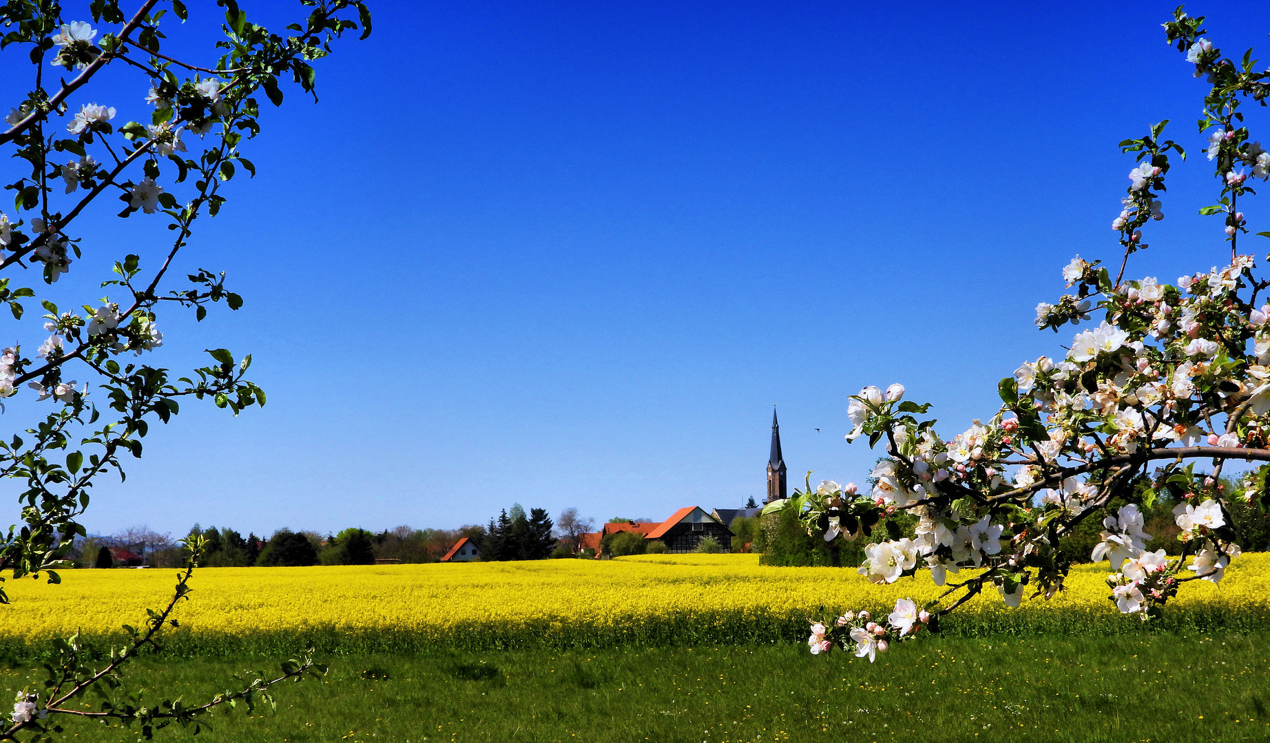 Rapszeit und blauer Himmel