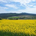 Rapszeit unter der Kösseine - Mai