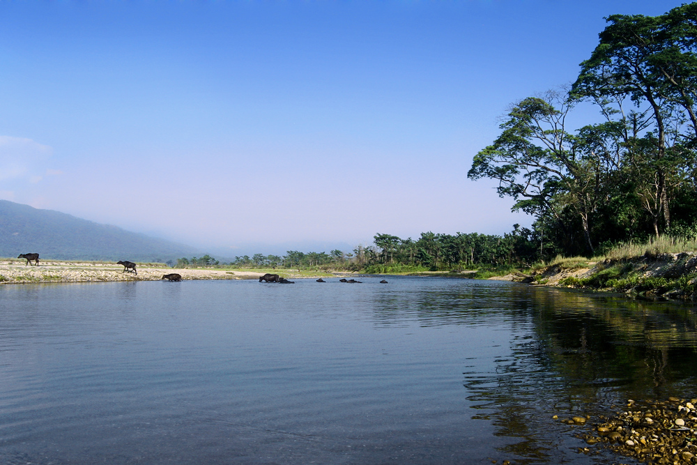 Rapti River Crossing