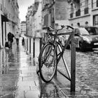 Rapture freshness - rain in Paris
