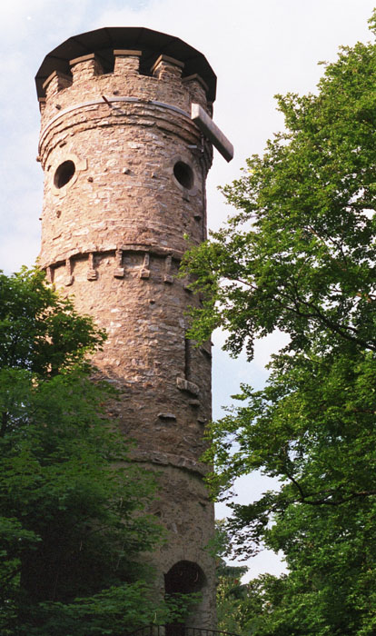 Rapunzel dein Haar stört den Handyempfang