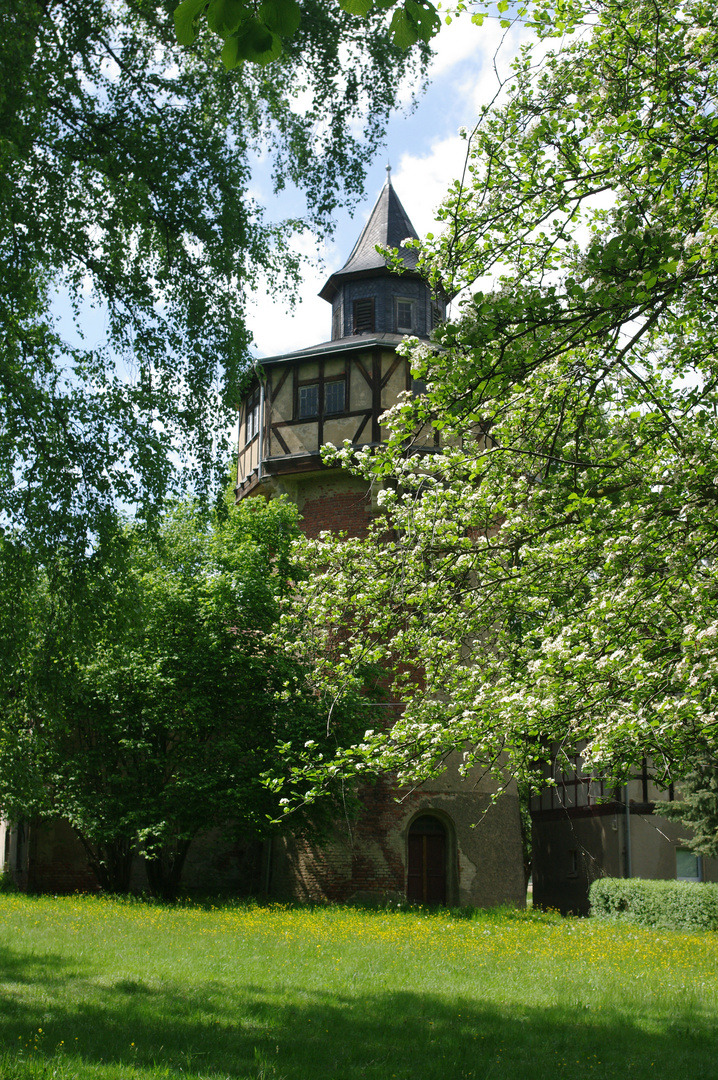 Rapunzel laß dein Haar herunter