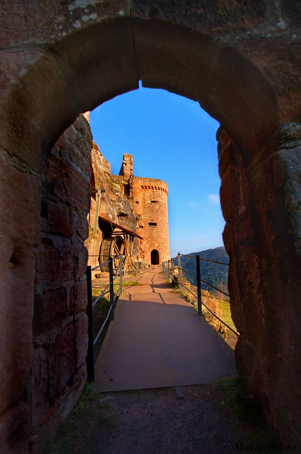 Rapunzel, Lass Dein Haar Herunter Foto & Bild | Deutschland, Europe