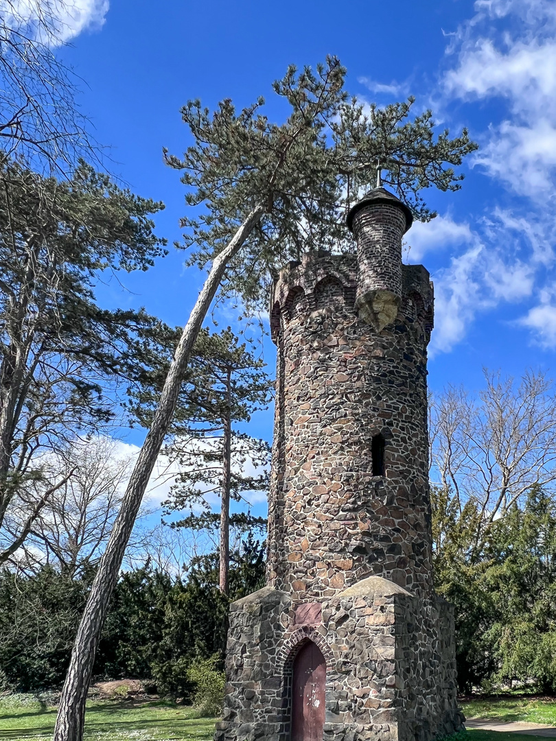 Rapunzel, lass dein Haar oben, ich klettere den Baum hoch!