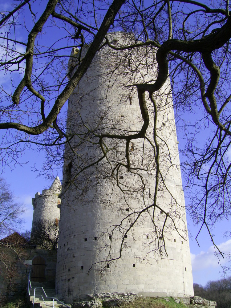 Rapunzel, Rapunzel lass dein Haar herunter