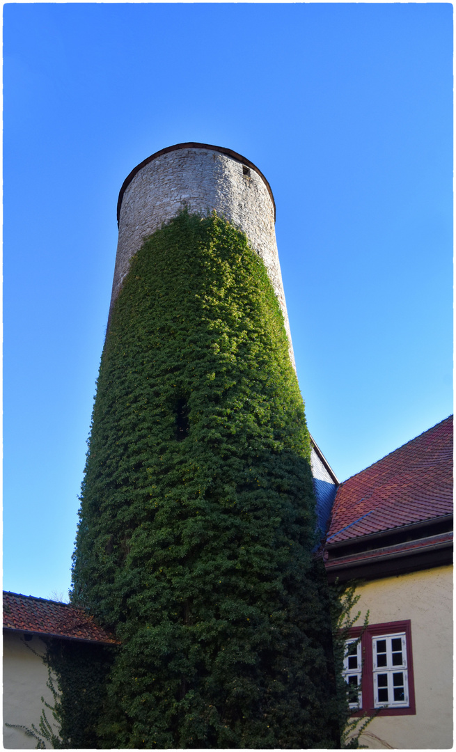 Rapunzel Turm