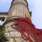 Rapunzel´s Turm im Herbst... ;-)