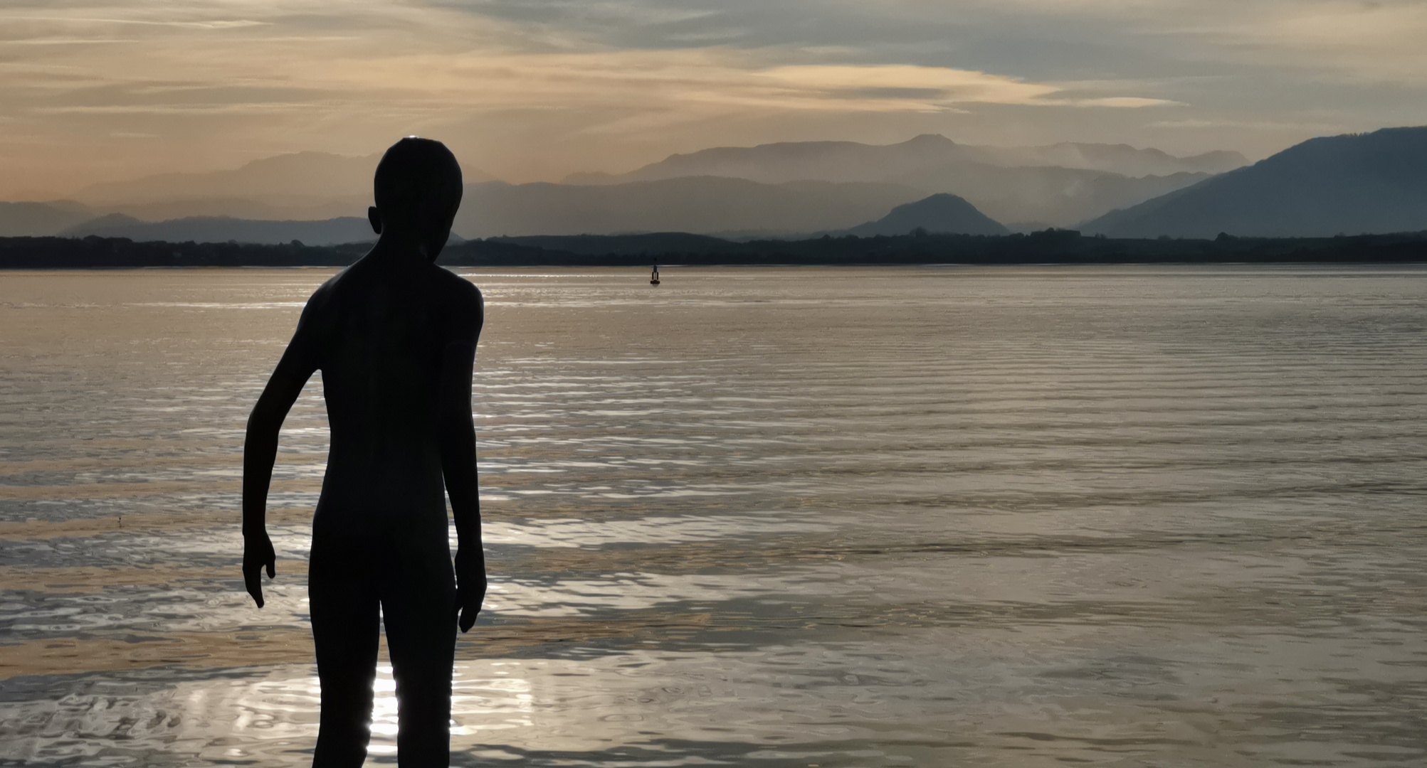 RAQUERO - Bahía de Santander (Cantabria)