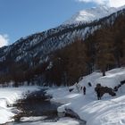 Raquettes au bord de la Clarée