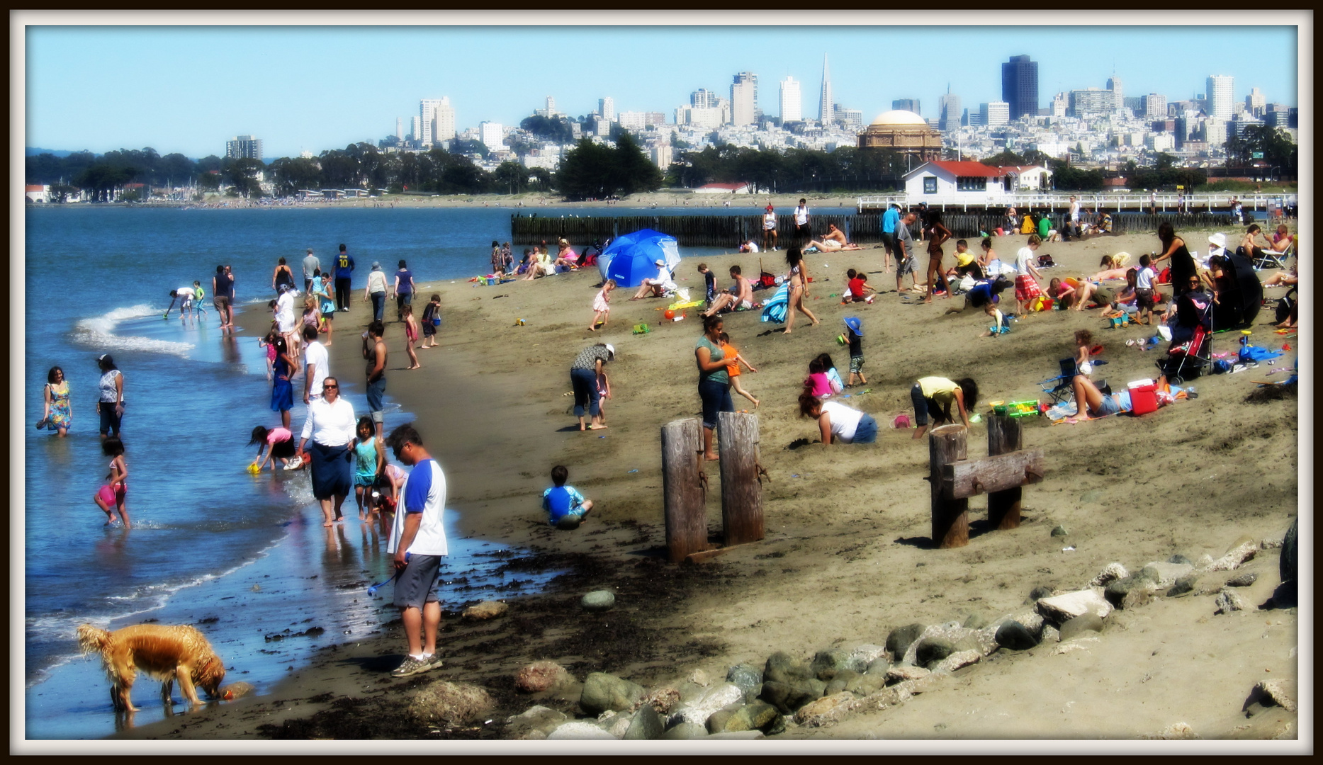 Rare Sunny "sans souci" Sunday on the Beach of San Francisco (2010)