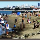 Rare Sunny "sans souci" Sunday on the Beach of San Francisco (2010)