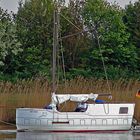 Raritäten im Nord-Ostsee-Kanal - 04