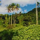 *** RAROTONGA ***