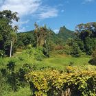 RAROTONGA