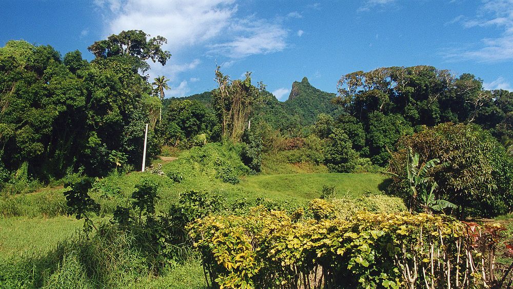 RAROTONGA