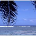 Rarotonga (Cook Inseln)