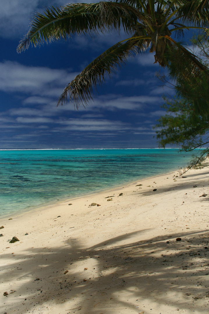 Rarotonga Postcard