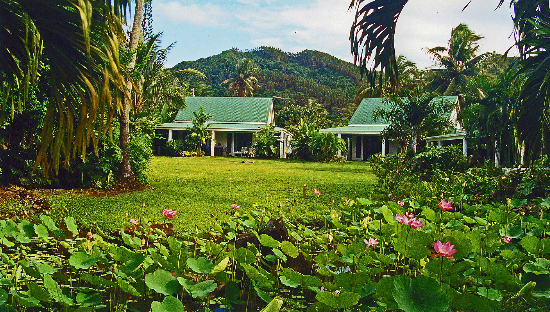 ** RAROTONGA THE BEAUTY**