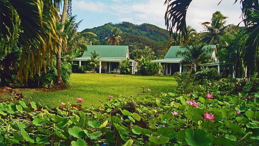 ** RAROTONGA THE BEAUTY**