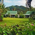 ** RAROTONGA THE BEAUTY**