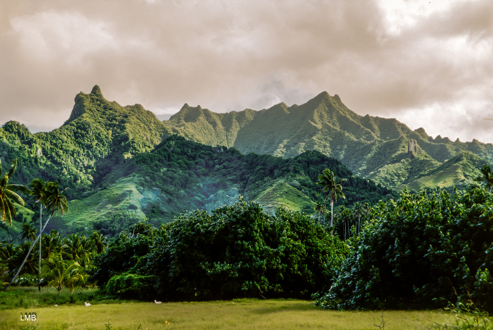 Rarotonga Topographie