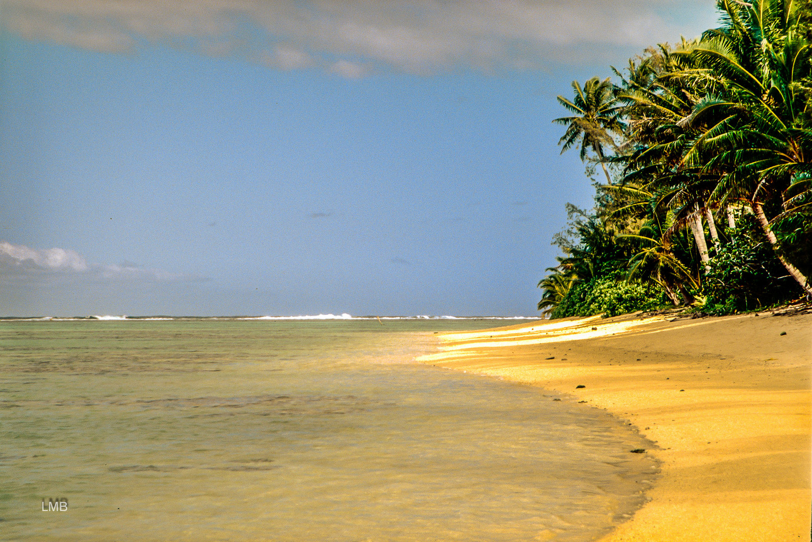 Rarotonga Walkway