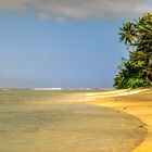 Rarotonga Walkway