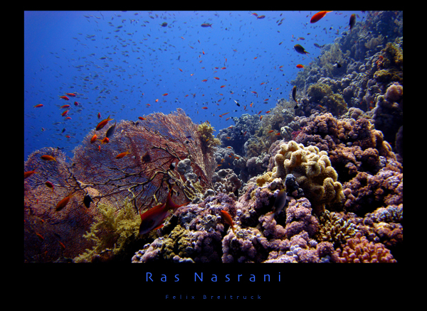 Ras Nasrani