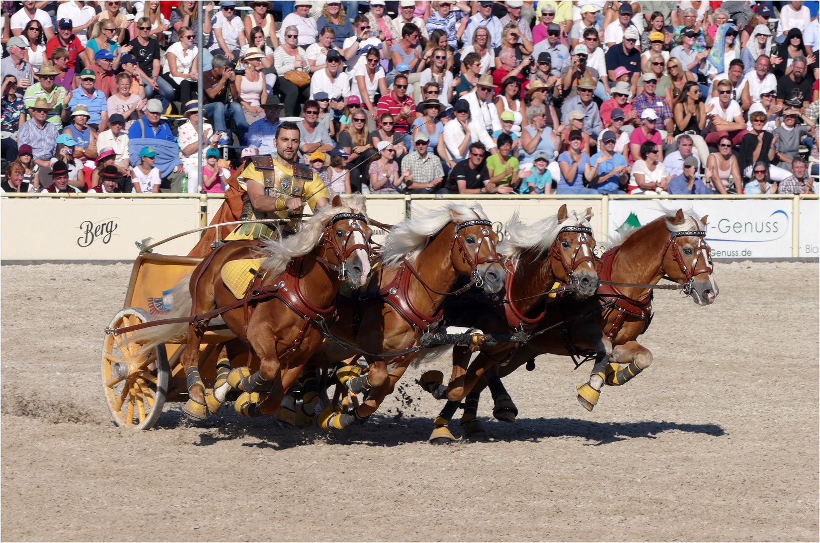 Rasantes Tempo