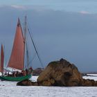 Rase cailloux à l'île Rouzic