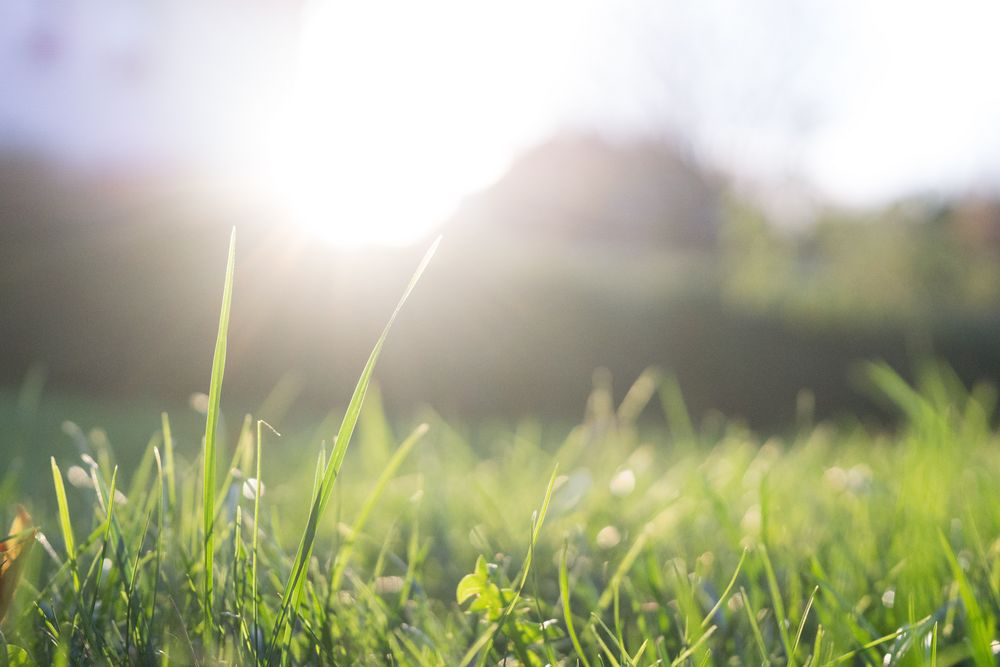 Rasen Foto & Bild | landschaft, kulturlandschaften, sommer Bilder auf