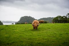 Rasen betreten verboten! Kinder haften für ihre Eltern!