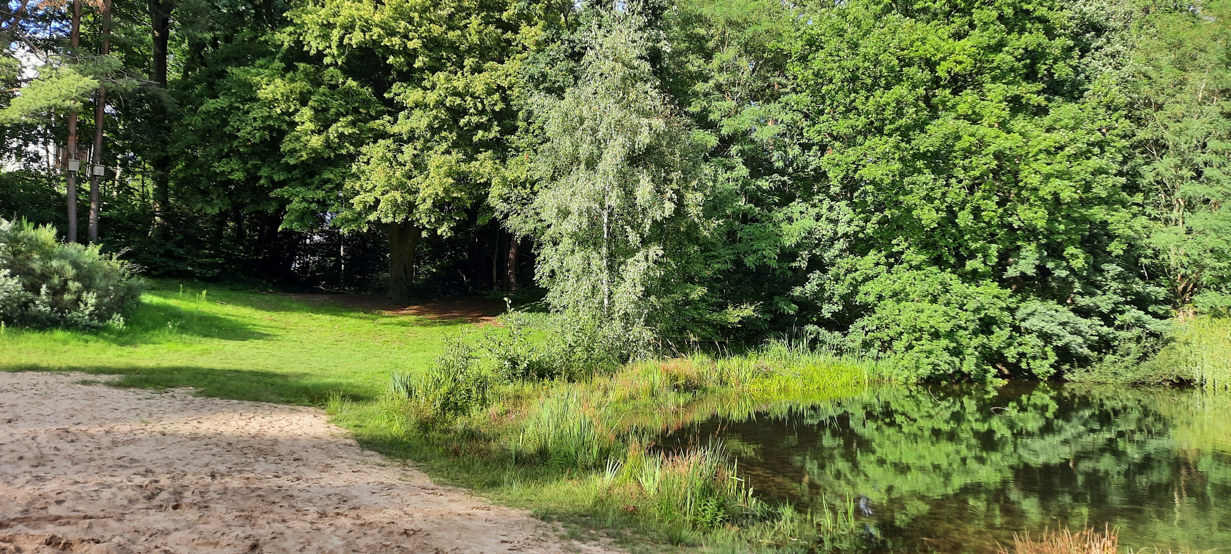 Rasen Strand und Wasser 