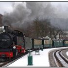 Rasender Roland auf Rügen ...