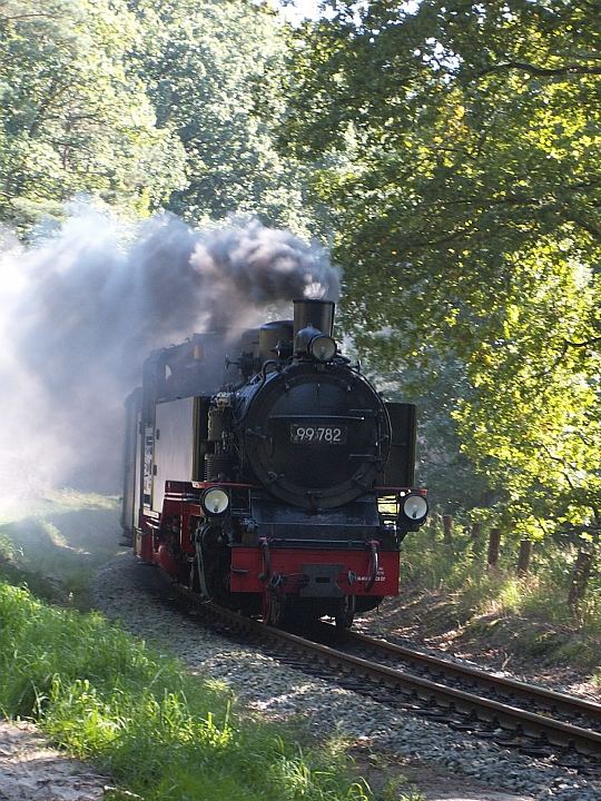 Rasender Roland auf Rügen