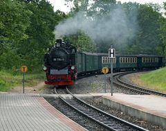 "Rasender Roland" fährt ein.