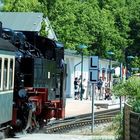 Rasender Roland fährt im Bahnhof Binz ein