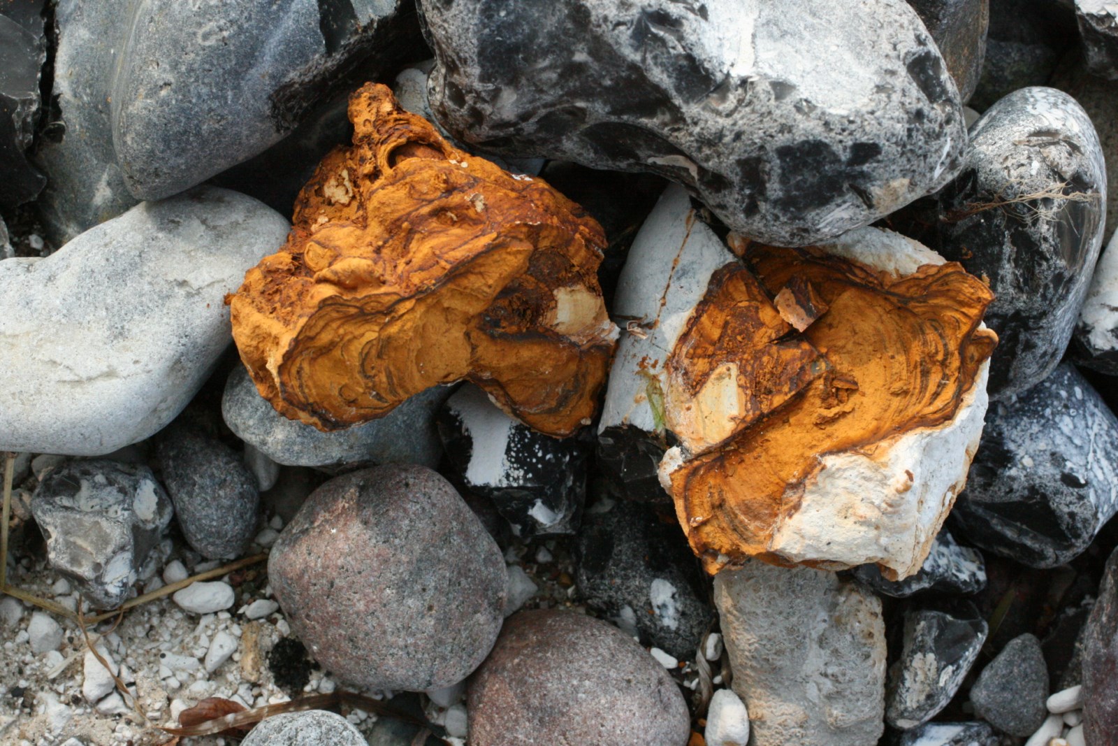 Raseneisenerz, Strand von Bisdamitz, Rügen