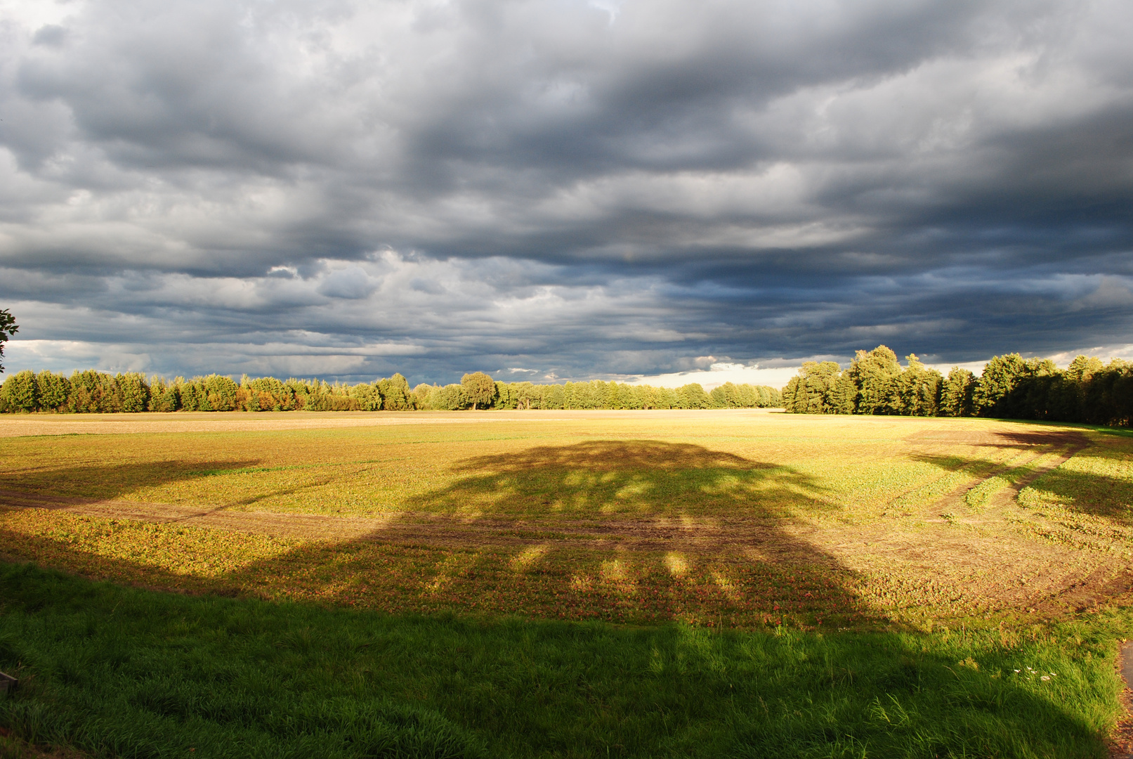 Rasenfläche in den letzten Sonnenstrahlen