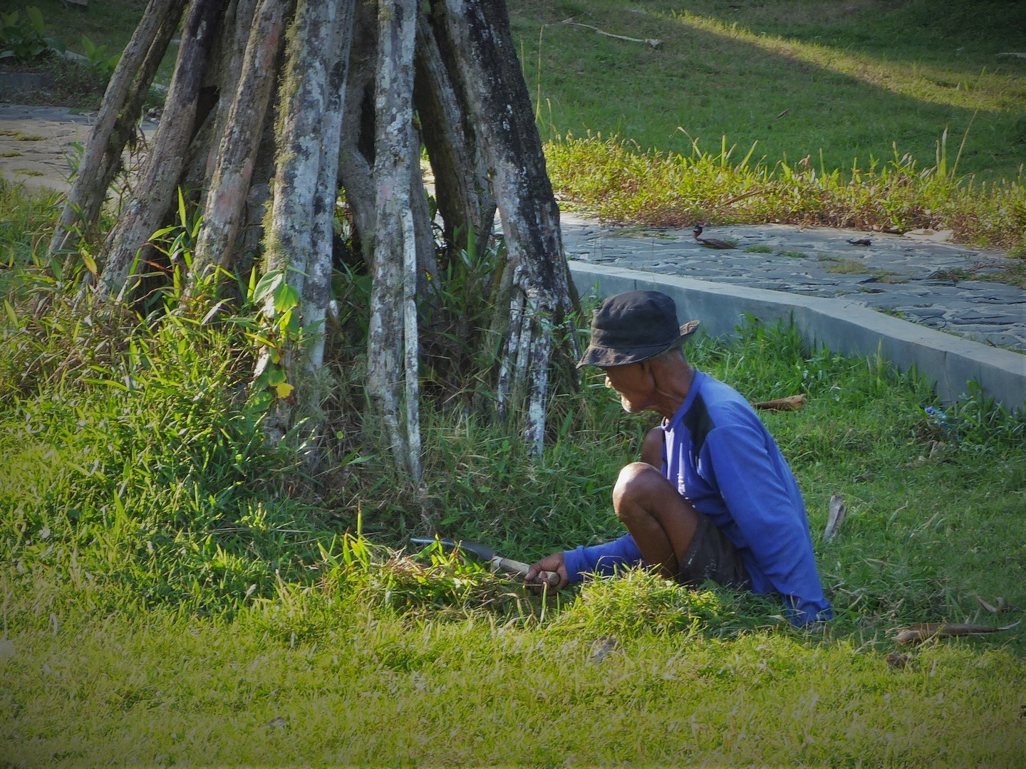 Rasenmähen in Indonesien