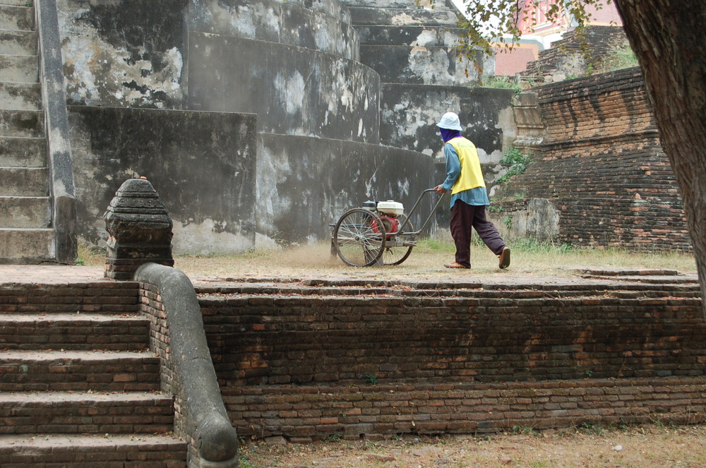 Rasenmäher auf Thai art