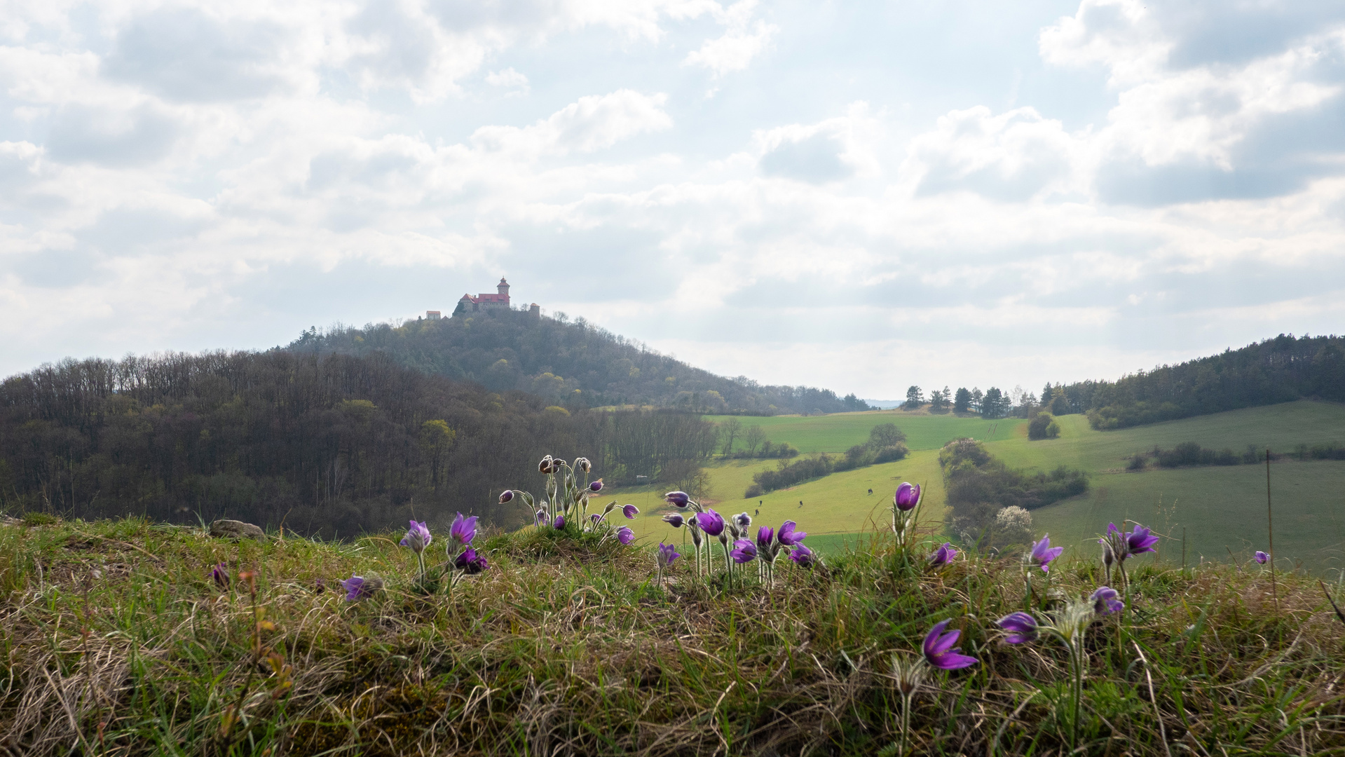 Rasenstück mit Burg