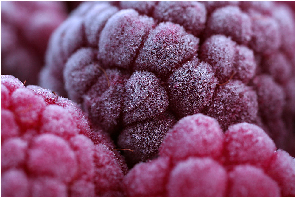 raspberries